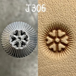 Raznice J306